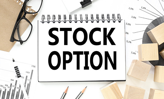 令和6年度税制改正を踏まえた税制適格ストック・オプションの発行及び変更に関する実務上の留意点 〜改正法令を読み解く〜